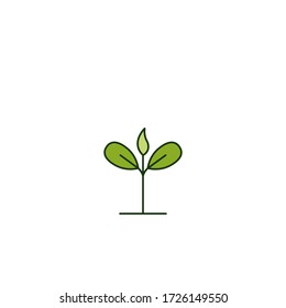 Plant growth icon vector illustration