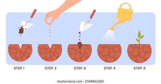 Plant growth process concept. Showel, seeds and watering can. Botany and agriculture, horticulture and gardening. Infographgics and materials. Cartoon flat vector illustration