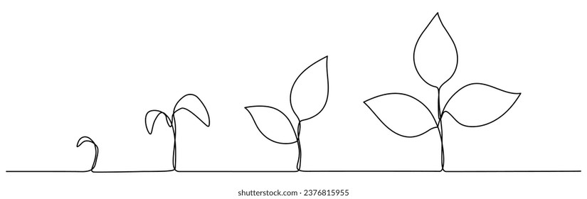 Plant growth process continuous line art drawing. Vector illustration isolated on white.