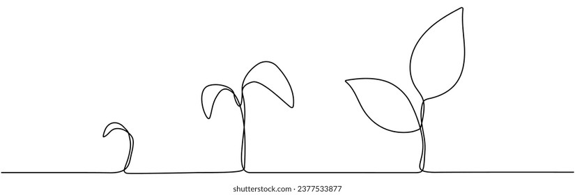 Pflanzenwuchsverfahren durchgängige Linienzeichnung. Vektorgrafik einzeln auf Weiß.