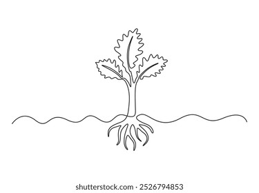 Proceso de crecimiento de la planta un dibujo de línea continua. Aislado sobre fondo blanco Ilustración vectorial