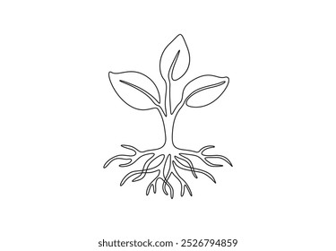 Proceso de crecimiento de la planta un dibujo de línea continua. Aislado sobre fondo blanco Ilustración vectorial