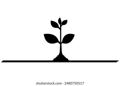 Plant growth process silhouette vector art drawing with outline illustration, Life cycle of silhouette plant growth stages