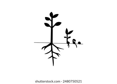 Plant growth process silhouette vector art drawing with outline illustration, Life cycle of silhouette plant growth stages