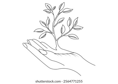 Plant growth processing start from bean seed single line art drawing vector illustration.