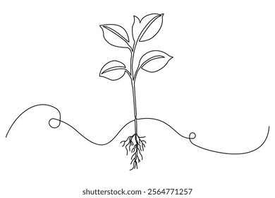 Plant growth processing start from bean seed single line art drawing vector illustration.