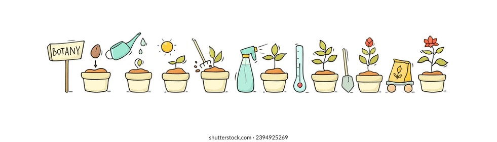 Plant growth from seed to sprout and flower. Doodle icons of process of houseplant growing in pot. Nature, garden, botany concept with stages of flower life, vector hand drawn illustration