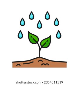 Crecimiento de plantas, riego de plántulas, ícono de línea de color de la agricultura. Pictograma vectorial de línea delgada de cultivo de cosecha con lluvia, gotas de agua cayendo sobre el brote. Signo de agricultura o de agricultura, símbolo de esquema