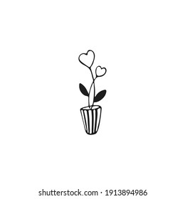 Plant growth with simple doodle hearts. Hand drawn flowerpot with hearts isolated on white background. Valentine's Day symbol. Vector illustration.