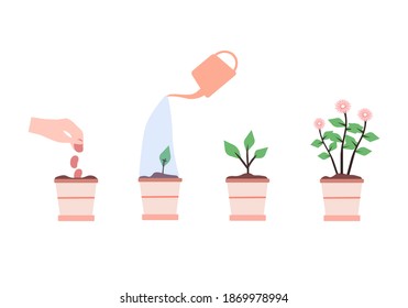 Plant growth stages n a white bacground, vector charts