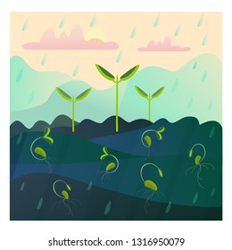
Plant growth stages from seed to sprout.