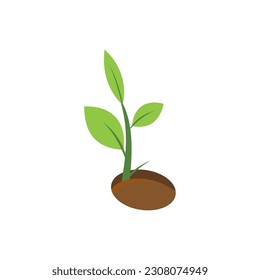 Plant growth stages vector illustration