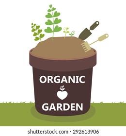 Plant growth. Step of plant blooming. Organic garden.  vector illustration