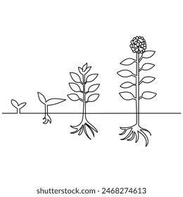 Plant growth tree continuous one line drawing  outline vector illustration

