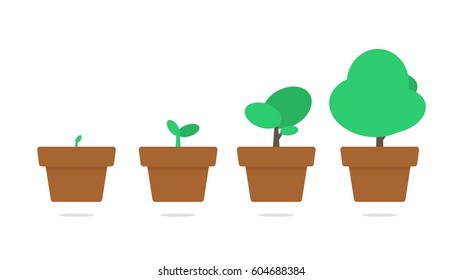 Plant growth vector