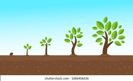 662 Seed underground growing Images, Stock Photos & Vectors | Shutterstock