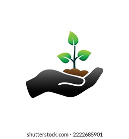 plant in han vector illustration