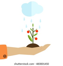 Plant in a hand.