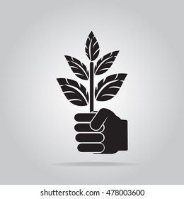 Plant in hand for cultivation icon