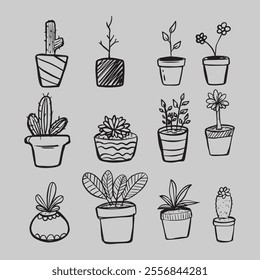 Plant hand drawn collected illustration