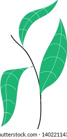 Plant  hand drawn design, illustration, vector on white background.