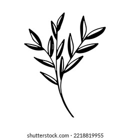 Plant in hand drawn doodle style. Vector illustration for postcard decor.