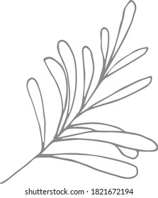 Plant (hand drawn vector illustration)