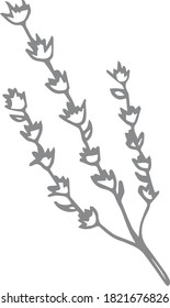 Plant (hand drawn vector illustration)