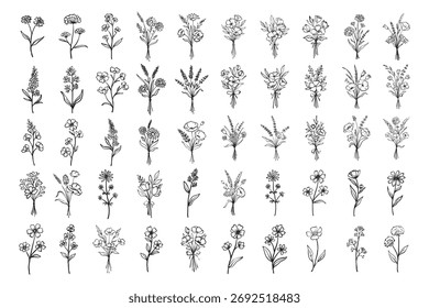 Plant hand drawn vector, set of flower branch and leaves illustration	