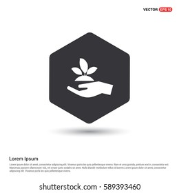Plant In Hand Icon