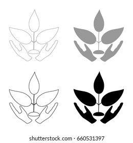 Plant and hand  icon .