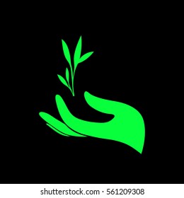 Plant in hand on black background