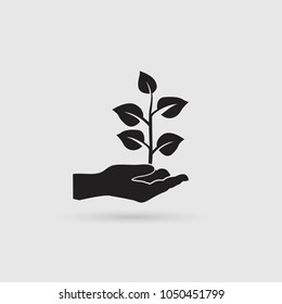 Plant in hand. Vector icon.