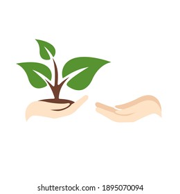 Plant In Hand Vector Icon Flat Style Isolated On White. Illustration Of Human Hand Holding Handful Of Soil With Growing Young Green Sprout Of Plant And Giving It To Other Person 