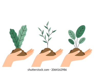 Plant in hand vector on white background. Plant in hand. Vector icon.