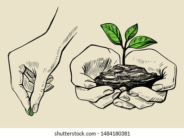 The Plant In The Hands Grows, The Hand Plants A Seed