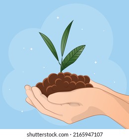  plant in hands, Hands hold a green sprout, a person plants a plant, a person saves nature, preserves forests