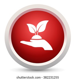 plant in hands icon