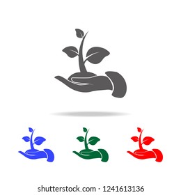 plant in hands icon. Elements of garden in multi colored icons. Premium quality graphic design icon. Simple icon for websites, web design, mobile app, info graphics