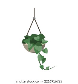 Plant in hanging flowerpot flat vector illustration. Indoor houseplant for home or office, flower with green leaves in cachepot isolated on white background. Nature, urban jungle concept