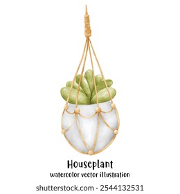 Plant, Hanging plant, hanging house plant pot. Home interior flowerpots. Indoor various macrame houseplants. Home office garden hanging plants.