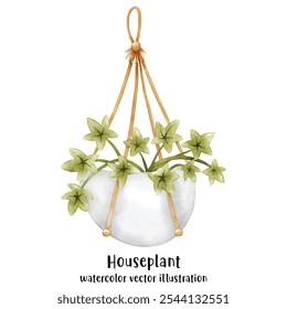 Plant, Hanging plant, hanging house plant pot. Home interior flowerpots. Indoor various macrame houseplants. Home office garden hanging plants.