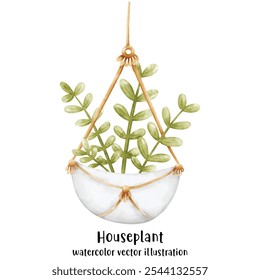 Plant, Hanging plant, hanging house plant pot. Home interior flowerpots. Indoor various macrame houseplants. Home office garden hanging plants.