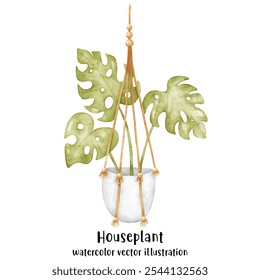 Plant, Hanging plant, hanging house plant pot. Home interior flowerpots. Indoor various macrame houseplants. Home office garden hanging plants.