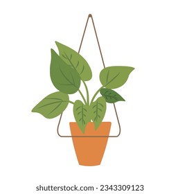 Plant in hanging pot, hang indoor plant, flat vector icon