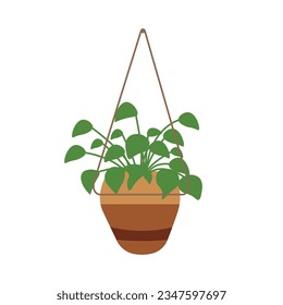 Plant in hanging pot, indoor plant in flat style illustration
