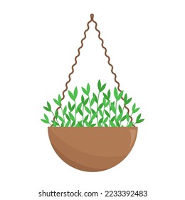 Plant in hanging pot. Vector illustration of houseplant. Hanging flower pot for home interior, garden and outside.