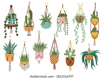 Plant in hanging pots. Houseplant hang on rope, decorative indoor plants, macrame flower pots, home potted plants vector illustration icons set. Handmade hangers for flower decoration