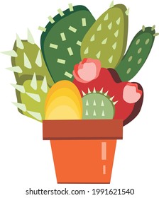 Una planta tiene agujas afiladas y puntiagudas y le gusta permanecer en un lugar caliente y seco. 