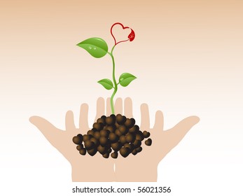 Plant with heart bloom in hands